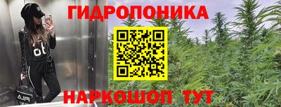 СК Изобильный